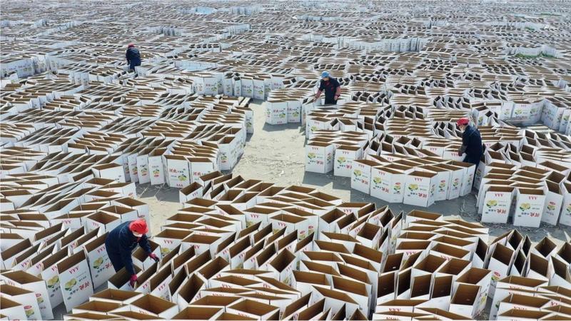 Sve je veća potražnja za kartonskim pakovanjem uz povećanje onlajn kupovine, a mnogi brendovi su pokušali i da izbace upotrebu plastike : Foto Getty images