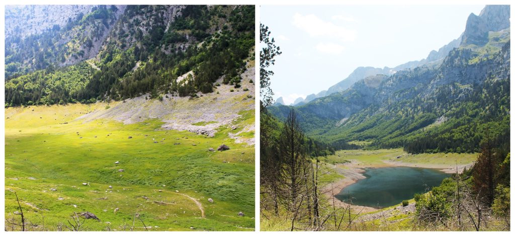 Ropojansko (Čemerikino) jezero